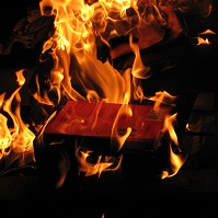 Burning Books 